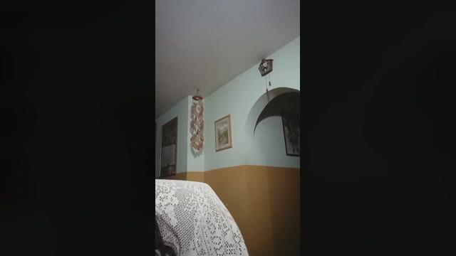 ArianaLatin  12-04-2022